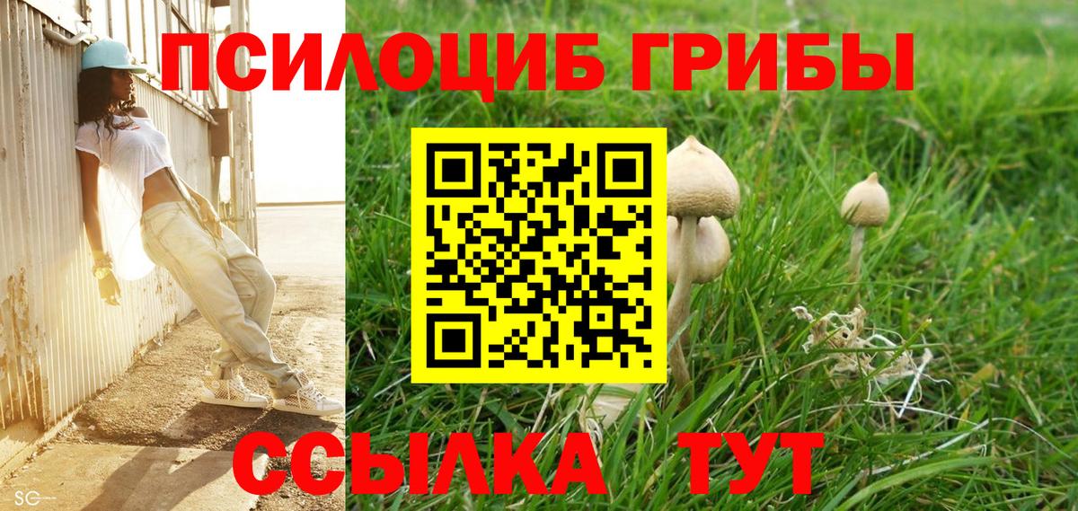 Галлюциногенные грибы мицелий  Псилоцибиновые грибы Cubensis  Топки  Вход с VPN 